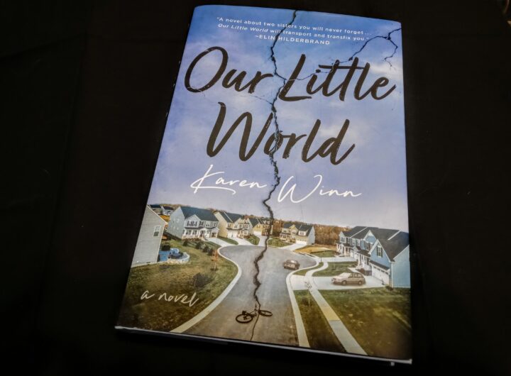 Our Little World by Karen Winn