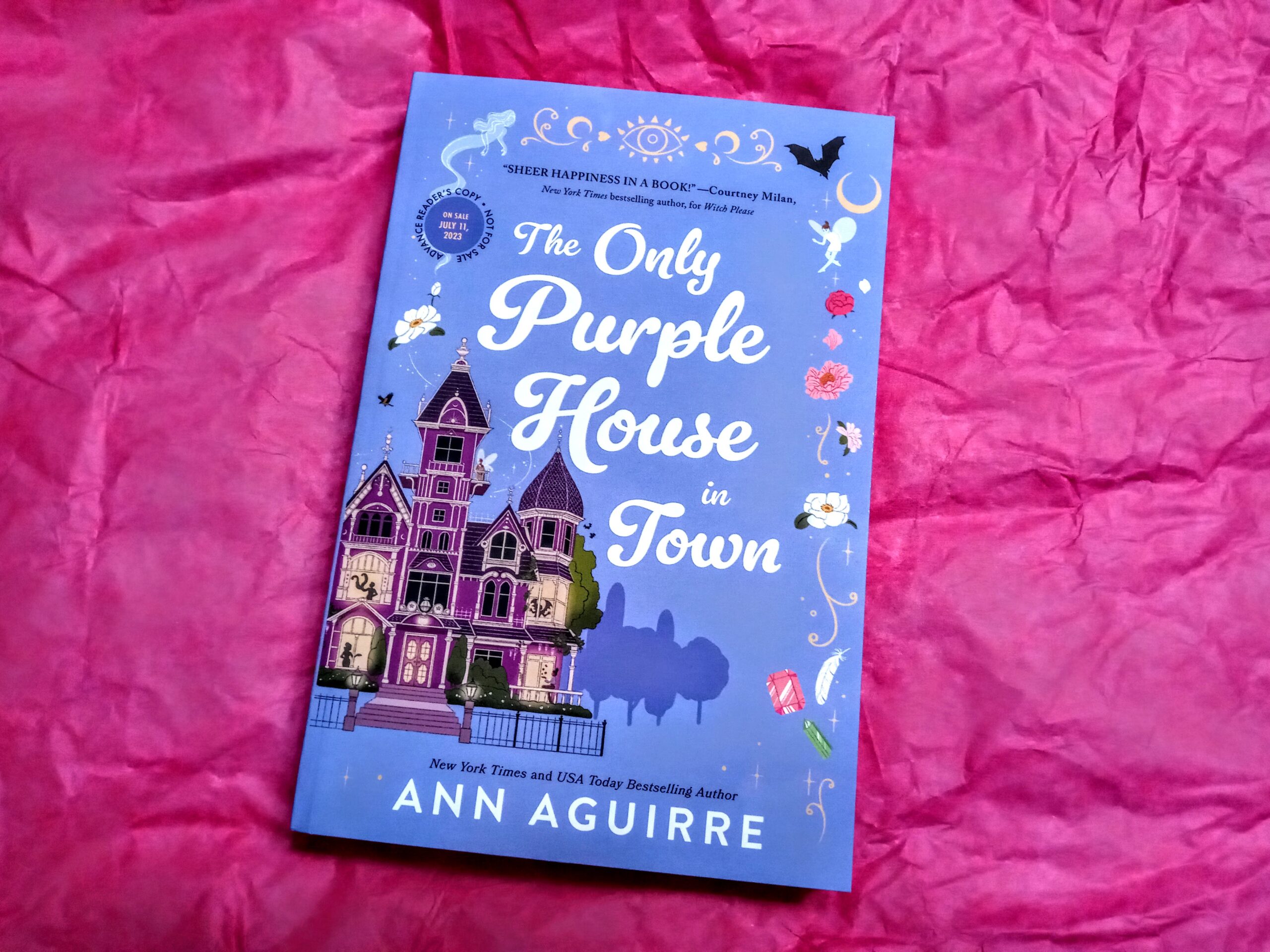 The Only Purple House in Town by Ann Aguirre. Photo: Sarabeth Pollock