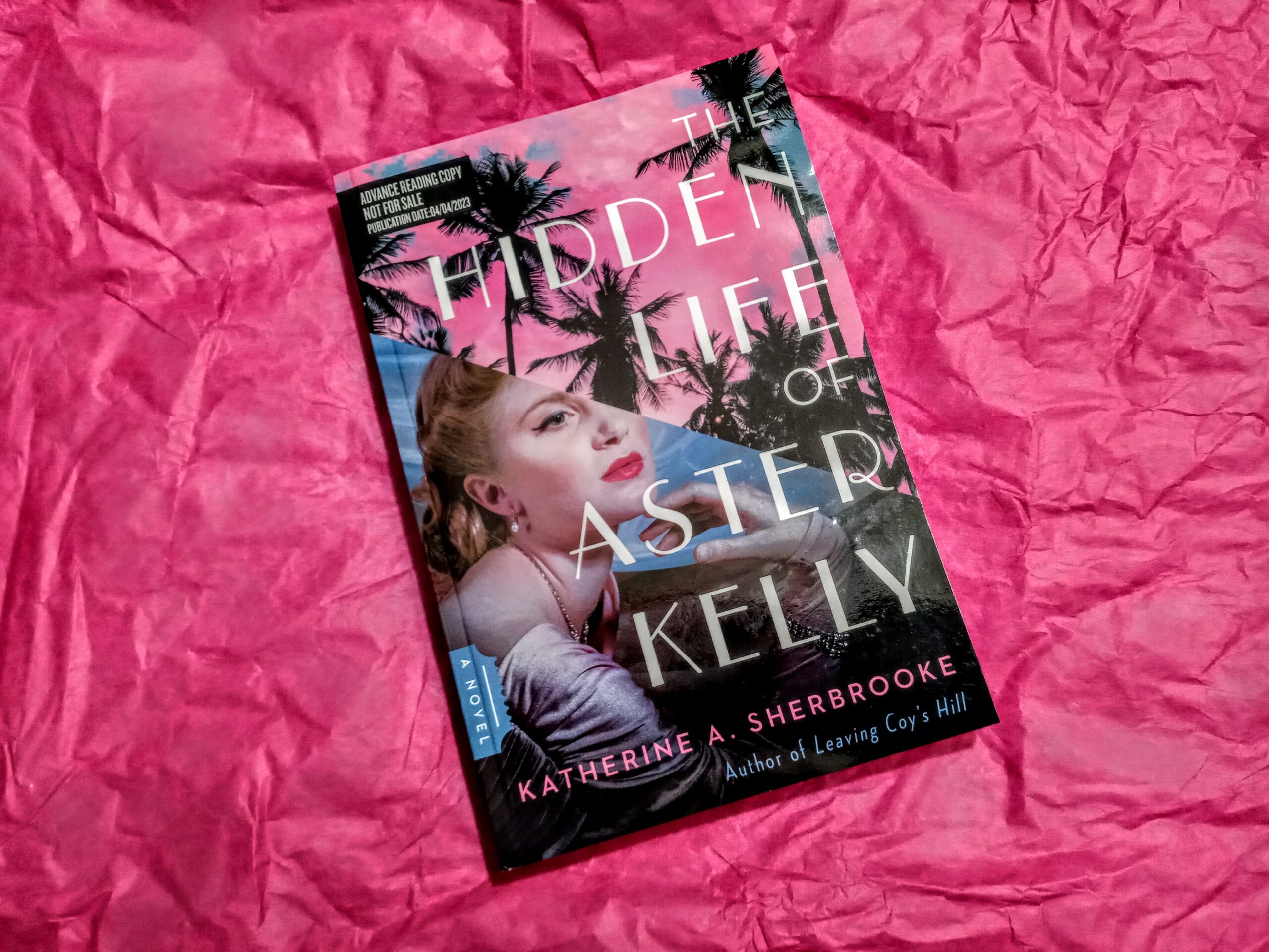 The Hidden Life of Aster Kelly by Katherine A. Sherbrooke. Photo: Sarabeth Pollock