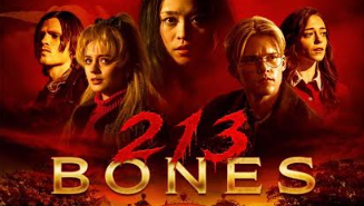 Key art from 213 Bones